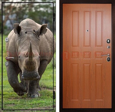 Металлическая дверь с фотопечатью носорога ДФ-31 в Щербинке